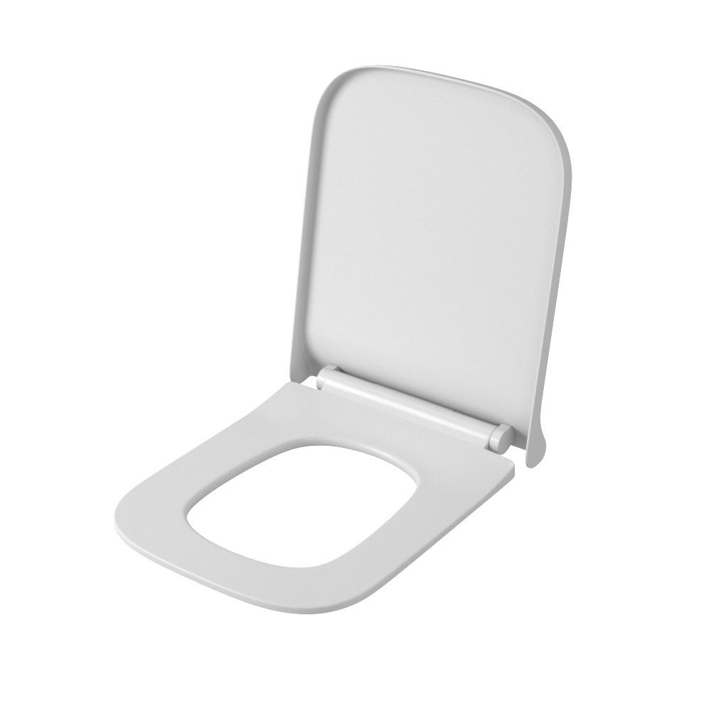 Крышка с сиденьем DP микролифт для унитаза OWLT190403