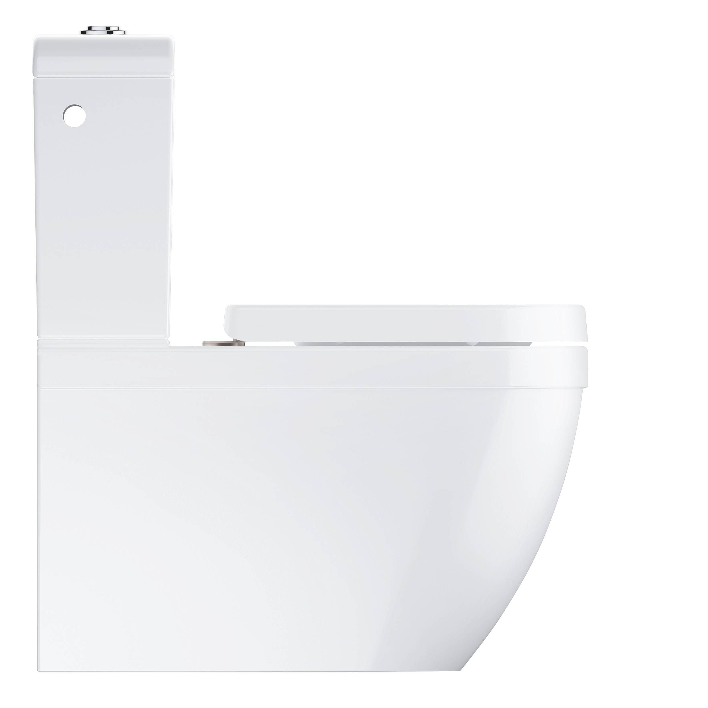 Унитаз напольный безободковый GROHE Euro Ceramic с бачком и сиденьем с микролифтом (NW0012-1) Унитаз напольный безободковый GROHE Euro Ceramic с бачком и сиденьем с микролифтом (NW0012-1)