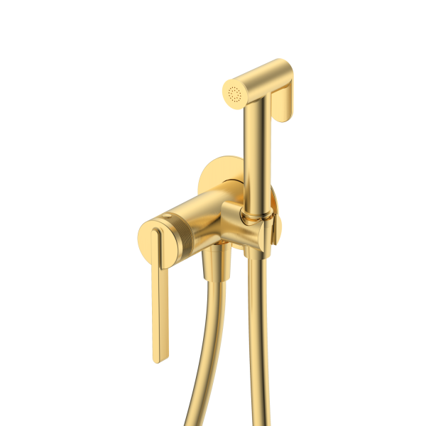 Гигиенический душ DQ Bonn встраиваемый (DA1704507)