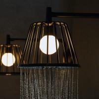 AX LampShower Верхний душ 1jet, с держателем, цвет: шлифованный черный хром AX LampShower Верхний душ 1jet, с держателем, цвет: шлифованный черный хром