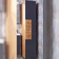 Шкаф пенал Бриклаер Форест 35 подвесной Антрацит со вставкой Пенёк