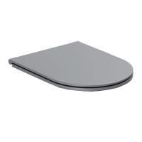 AZZURRA FORMA Сиденье для унитаза быстросъемное с микролифтом, фурнитура хром, цвет Antracite