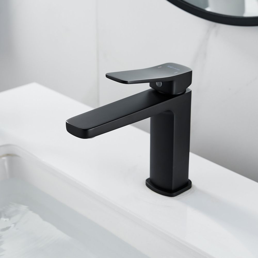 Смеситель для раковины Shevanik S9901H, черный