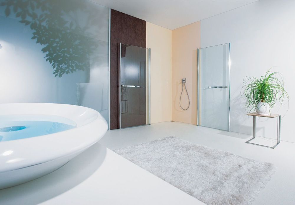 Geoplatin4000, 2створчатая распашная дверь 1000 мм, профиль мат. хром, стекло прозрачное 5 мм, артикул V298(K01)