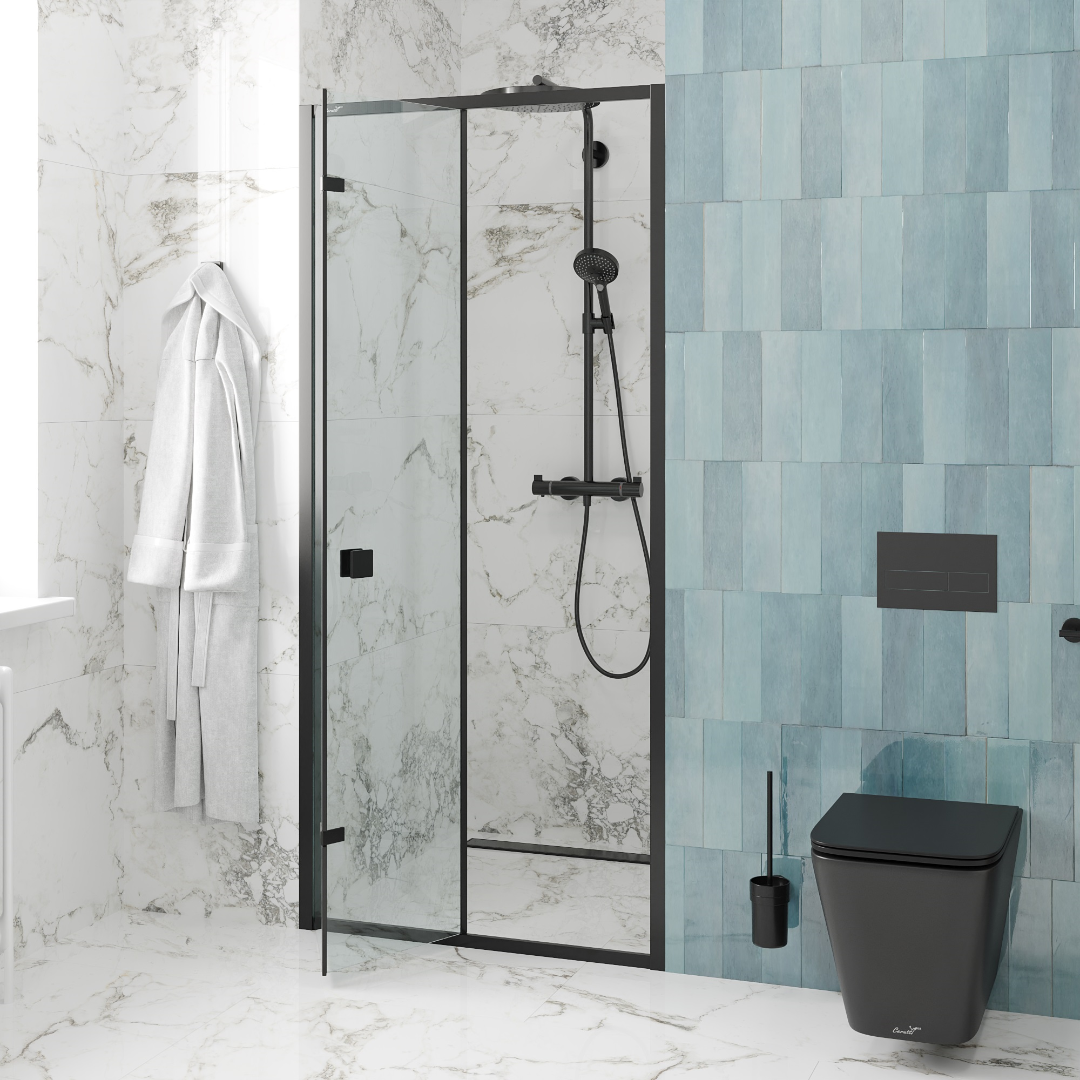 Дверь BELLA D91B душевая в нишу Cerutti SPA (90х195) Дверь BELLA D91B душевая в нишу Cerutti SPA (90х195)