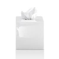 Decor Walther KB 89 Диспенсер для салфеток 13.5x13.5x13.5см, керамика, цвет: белый