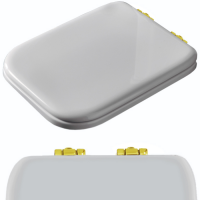 Kerasan Waldorf Сиденье для унитаза, цвет белый/золото, микролифт