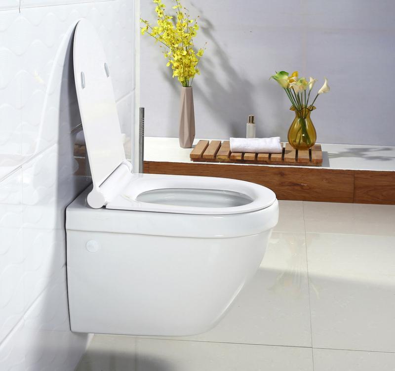 Унитаз BelBagno Cento-R BB509CH подвесной без сиденья Унитаз BelBagno Cento-R BB509CH подвесной без сиденья