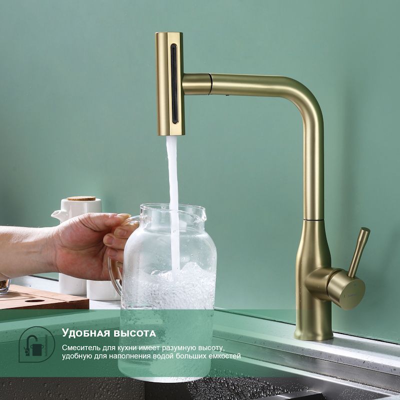 Смеситель для кухни с мультифункциональным изливом Splenka S206.49.03, золотой сатин