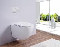 Унитаз подвесной AMAPOLA (Matt White)