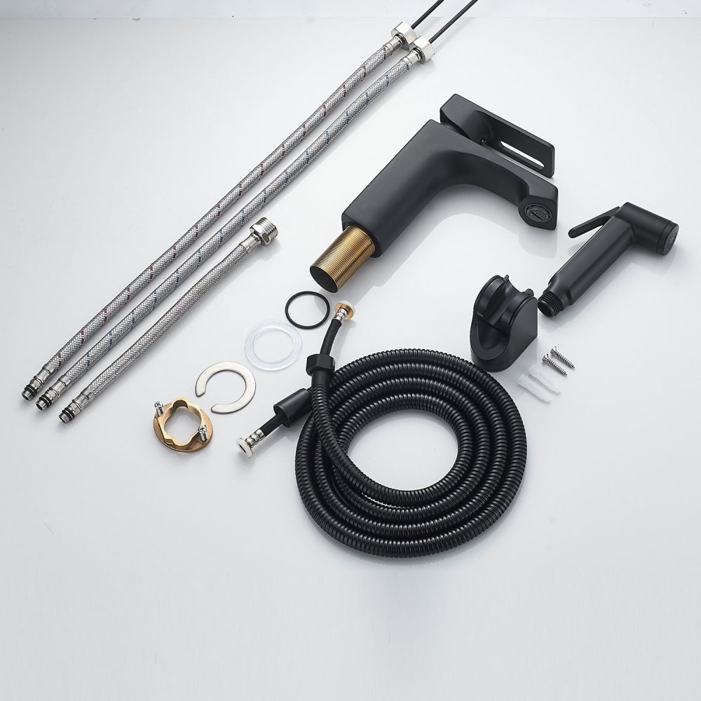 Смеситель для раковины с гигиеническим душем Raffine F171H, черный