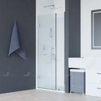 Душевая дверь RGW HO-012 (1100, Прозрачное)