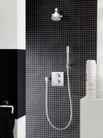 Кольцо для полотенца GROHE Allure, хром (40339000)