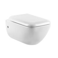 GESSI Унитаз подвесной 540х358 мм., в комплекте с крышкой-сиденьем с механизмом Soft Close, фурнитура хром, цвет белый глянцевый