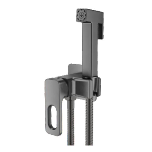 Гигиенический душ со смесителем встраиваемый Raglo R51.52.09, графит