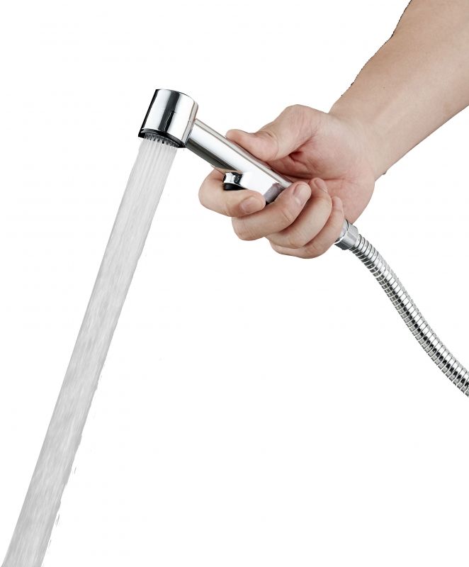 Гигиенический душ Agger AHYG01 Хром