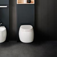 Agape Pear 2 Унитаз подвесной 38x52.8x25.5 см, сиденье с микролифтом, цвет: bicolore внутри белый глянец, снаружи - белый матовый Agape Pear 2 Унитаз подвесной 38x52.8x25.5 см, сиденье с микролифтом, цвет: bicolore внутри белый глянец, снаружи - белый матовый