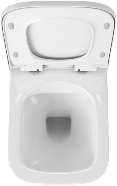 Унитаз Owl 1975 Vatter Ruta-H mini OWLT190403 подвесной с сиденьем Микролифт