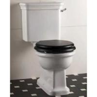 Devon Etoile Унитаз моноблок (50х30см), цвет: белый