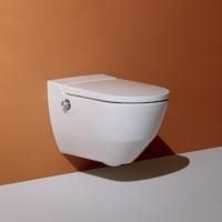 Унитаз, Laufen, Cleanet Navia, безободковый (с открытым смывным краем), тип установки-подвесной, ширина, мм-360, глубина, мм-580, форма чаши-овальная, выпуск-горизонтальный, сиденье с функцией биде-в комплекте, вид грязеотталкивающего покрытия-LCC, цвет-б