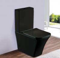 Унитаз-напольный ESBANO CRISAN черный матовый