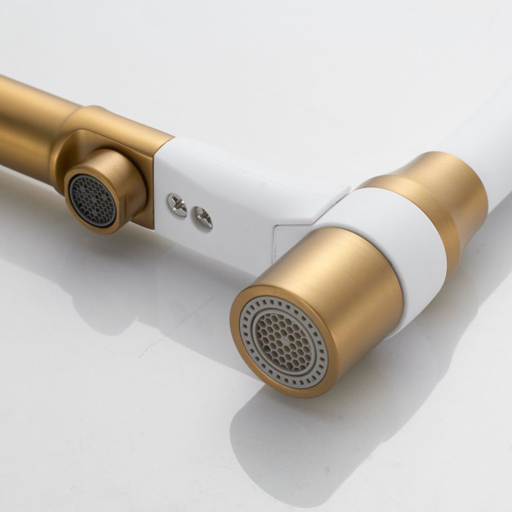 Смеситель для кухни с гибким изливом и подключением фильтра Shevanik S378G, золотой сатин/белый, артикул S378G