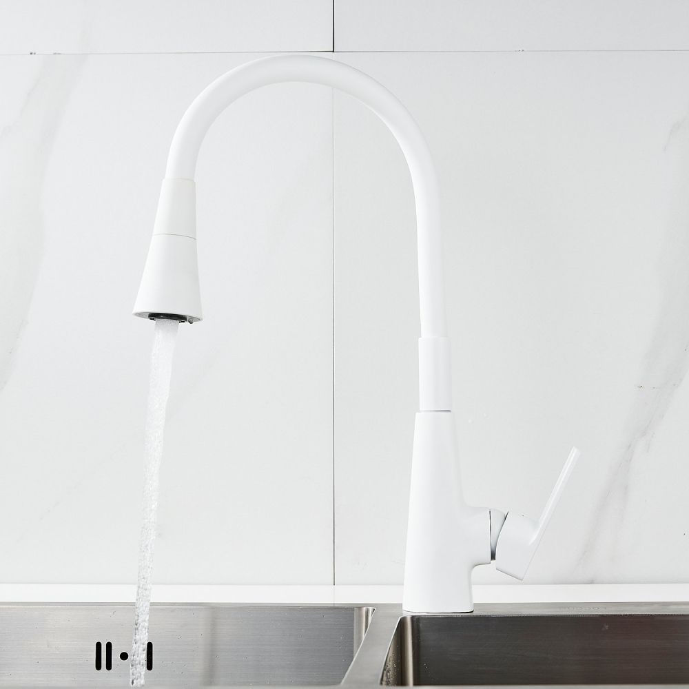 Смеситель для кухни с гибким изливом Raffine F313C-1, белый