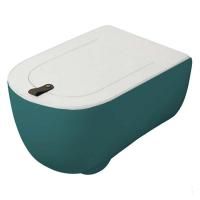 Artceram The One Унитаз подвесной Rimless 35x52 см, цвет foresta