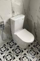 Унитаз ADIGE напольный безободковый Cerutti SPA CT7836 Унитаз ADIGE напольный безободковый Cerutti SPA CT7836