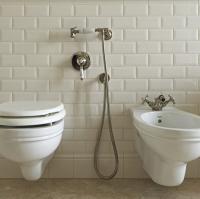 Devon Гигиенический душ с держателем, шлангом и выпуском из стены, с ручкой белой, цвет: бронза