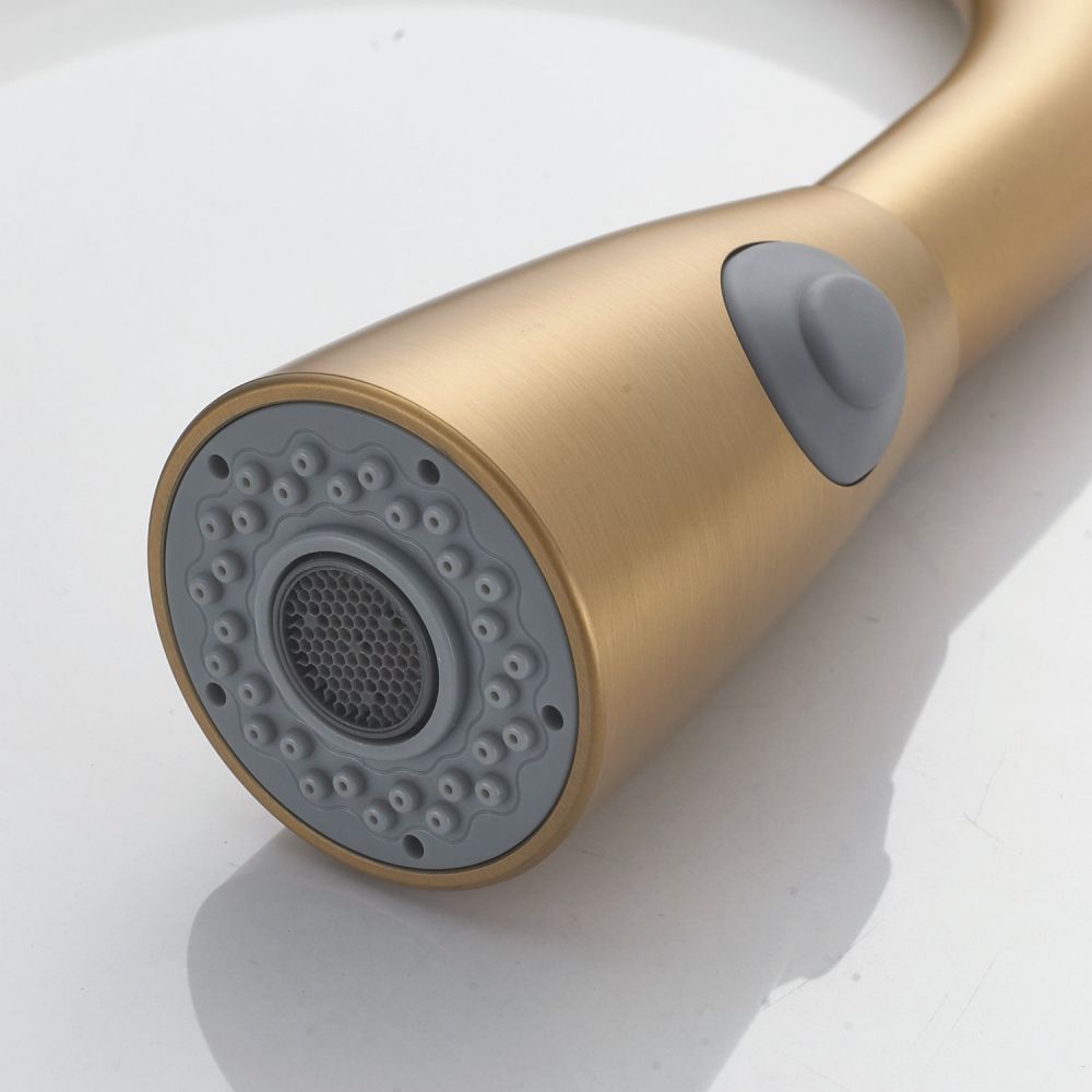 Смеситель для кухни с выдвижным изливом Raffine F213G, золотой сатин