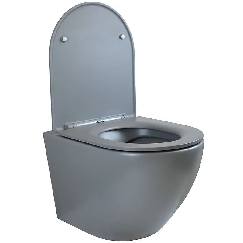 Унитаз Bronze de Luxe Scandi 3006-GM подвесной с сиденьем