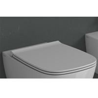 GLOBO Genesis Сиденье для унитаза GNS02/GN001, быстросъемное, цвет белый/хром (микролифт)