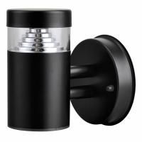 Светильник светодиодный уличный Raggio Lightstar 376617 Светильник светодиодный уличный Raggio Lightstar 376617