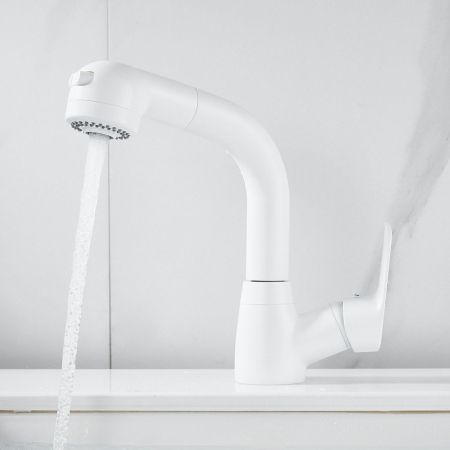 Смеситель для раковины многофункциональный Raffine F291C, белый