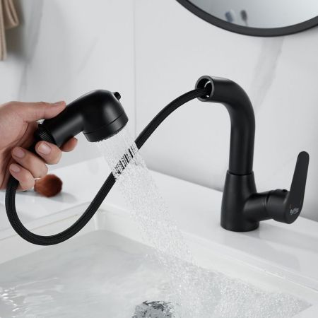 Смеситель для раковины многофункциональный Raffine F291H, черный, артикул F291H