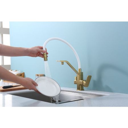 Смеситель для кухни с подключением фильтра Raglo R85.62.03, золотой сатин
