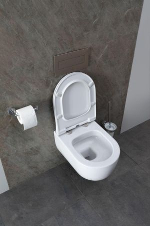 Чаша подвесного унитаза Allen Brau Priority 4.31002.20 белый глянец, артикул 4.31002.20