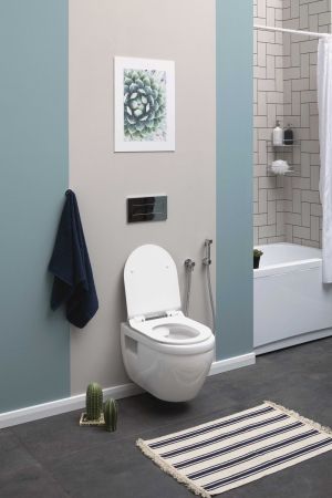 Унитаз подвесной Aquanet Rimless Glide-W CL-11042