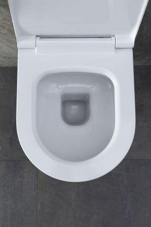 Чаша подвесного унитаза Allen Brau Priority 4.31002.20 белый глянец, артикул 4.31002.20