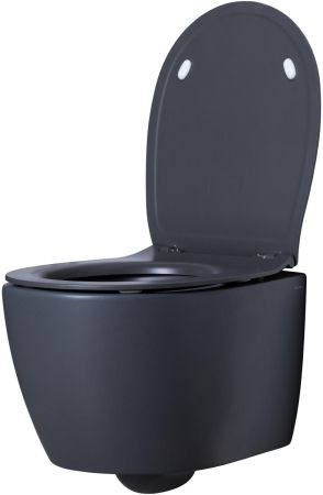 Чаша подвесного унитаза Allen Brau Fantasy 4.11004.AN антрацит, артикул 4.11004.AN