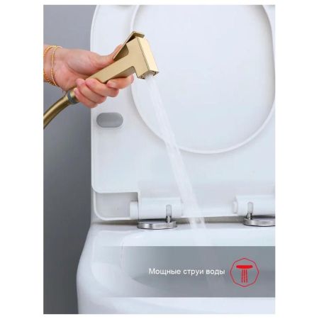 Гигиенический душ со смесителем встраиваемый Raglo R02.54.03, сатин золотой