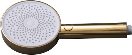 Душевая лейка Allen Brau Priority 5.31B20-GB золото, артикул 5.31B20-GB