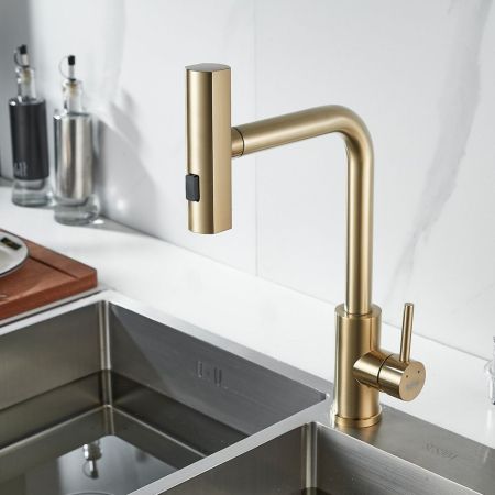 Смеситель для кухни с мультифункциональным изливом Raffine F203G, золотой сатин