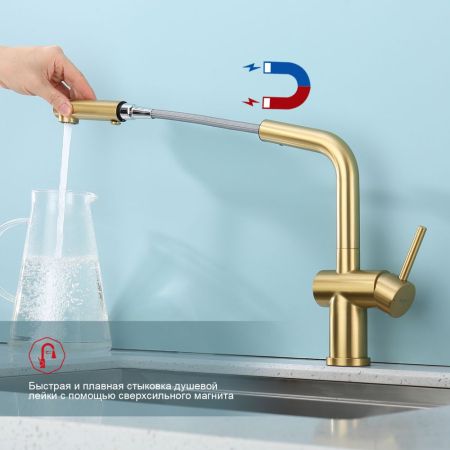 Смеситель для кухни с выдвижным изливом Raglo R86.49.03, золотой сатин
