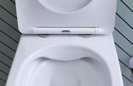 Унитаз подвесной Aquanet Rimless Cetus 2.0 W LX-1901, артикул Cetus 2.0 W