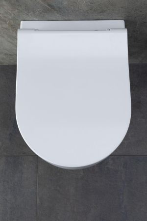 Чаша подвесного унитаза Allen Brau Priority 4.31002.20 белый глянец, артикул 4.31002.20