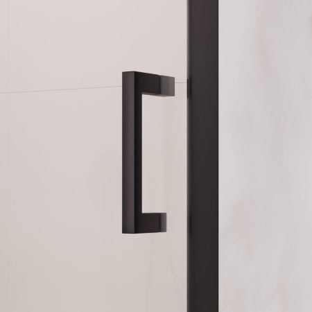 Душевая дверь RGW PA-008B (Прозрачное, 1200)