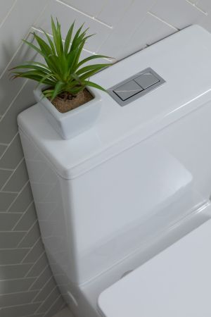 Чаша напольного унитаза Aquanet Rimless Tavr 2.0 C1 LX-2905, артикул Tavr 2.0 C1