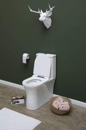 Чаша напольного унитаза Aquanet Rimless Roll-C CL-12249B, артикул Roll-C